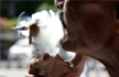 Smoking ban enforcement takes back seat in Bengaluru